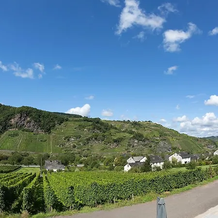 Apartment Weingut Christoph Mueller *