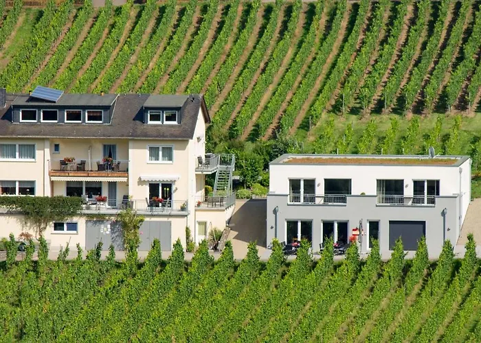 Appartamento Weingut Christoph Mueller Burg (Bernkastel-Wittlich)