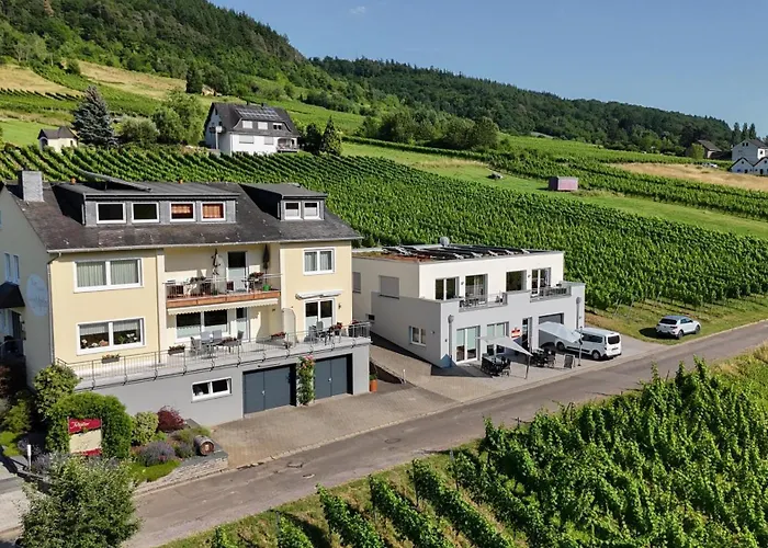 Weingut Christoph Mueller Appartamento *