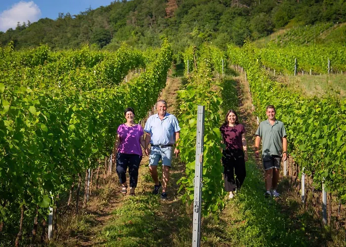 Weingut Christoph Mueller *