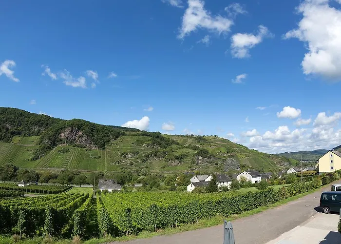 Appartamento Weingut Christoph Mueller *