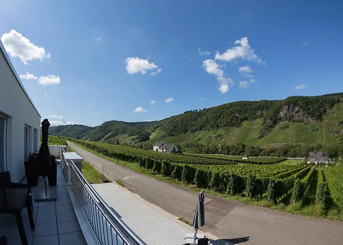 Appartamento Weingut Christoph Mueller Burg (Bernkastel-Wittlich)